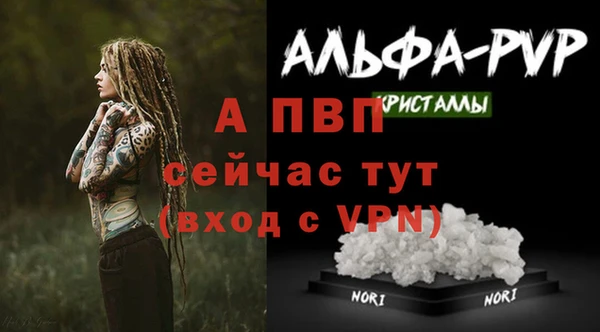 марки nbome Горнозаводск