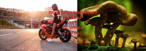 мяу мяу мука Вяземский
