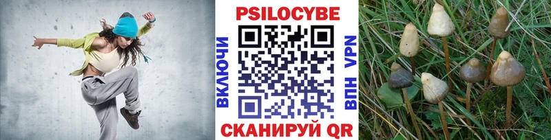 Псилоцибиновые грибы мухоморы  Сыктывкар 